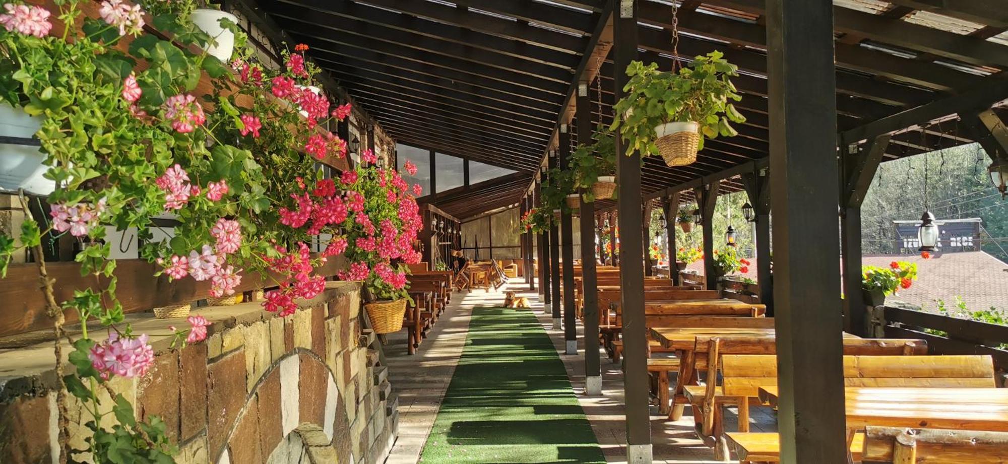 Hanul Izvorul Rece Sinaia Bagian luar foto